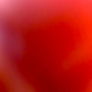 Meet your Posher, Jorge